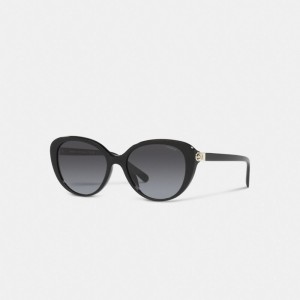 Black Women COACH® Horse And Carriage Cat Eye Sunglasses | NZ GSE686