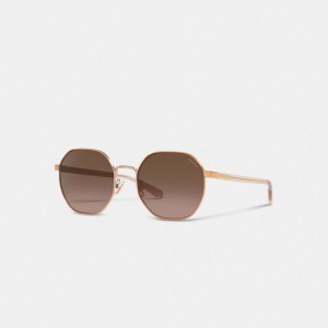 Brown / Pink Women COACH® Metal Hexagon Sunglasses | NZ LIU690