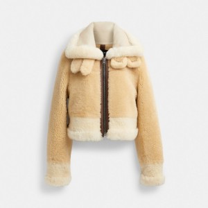Cream / Multicolor Women COACH® All Over Shearling Shrunken Aviator Jacket | NZ FDS425