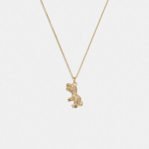 Gold Women COACH® Pavé Rexy Necklace | NZ KOP585