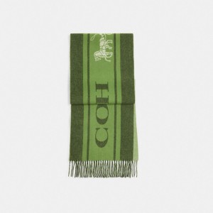 Green Men COACH® Varsity Sport Cashmere Muffler Scarf | NZ JPX272