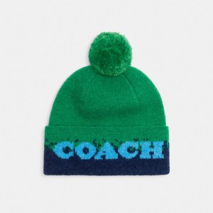 Green / Multicolor Women COACH® Ombre Print Beanie | NZ WNL621