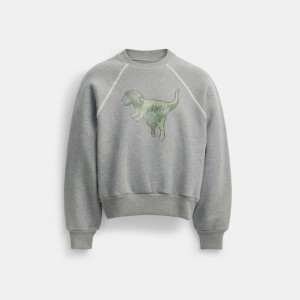 Grey Women COACH® Rexy Crewneck Sweatshirt | NZ MQC489