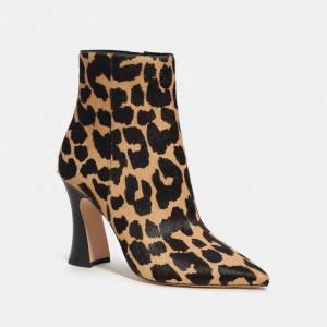 Leopard Women COACH® Carter Boots | NZ DFJ295