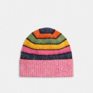 Multicolor Women COACH® Striped Beanie | NZ TCC624