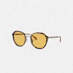 Orange Women COACH® Hangtag Geometric Round Sunglasses | NZ SGM683