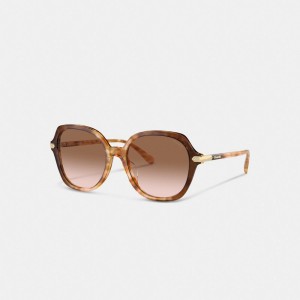 Orange Women COACH® Wrap Around Hangtag Oversized Geometric Round Sunglasses | NZ XYZ703
