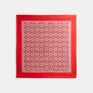 Red Women COACH® Vintage Signature Print Silk Square Scarf | NZ HAM656