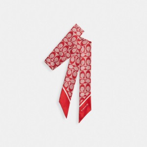 Red Women COACH® Vintage Signature Print Silk Skinny Scarf | NZ JPM655