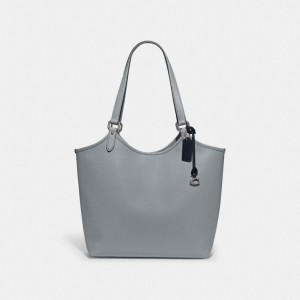 Silver / Grey / Blue Women COACH® Day Tote Bag | NZ ILN924